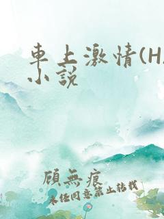 车上激情(H)小说