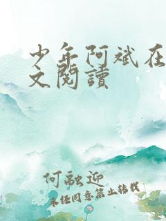 少年阿斌在线全文阅读