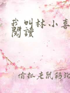 我叫林小喜全文阅读