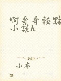 啊哥哥轻点儿插小说h