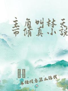 主角叫林天的都市修真小说