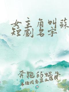 女主角叫苏念的短剧名字