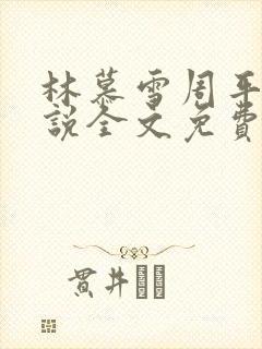 林慕雪周平的小说全文免费阅读