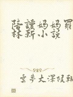 陪读妈妈罗慧与林新小说