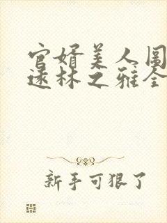 官婿美人图陈志远林之雅全文免费阅读