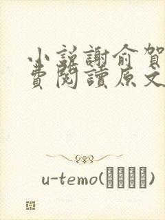 小说谢俞贺朝免费阅读原文