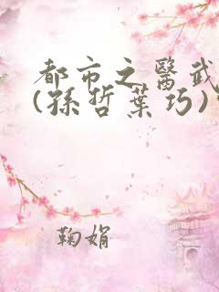 都市之医武风流(孙哲叶巧)完整版