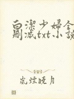 白洁少妇全文无删减txt小说苏桃