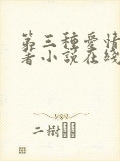 第三种爱情 原著小说在线阅读