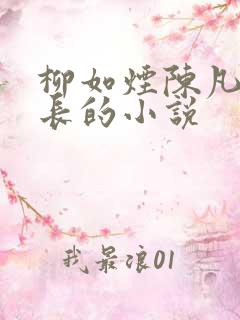 柳如烟陈凡纪伯长的小说