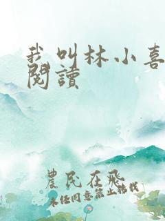 我叫林小喜全文阅读