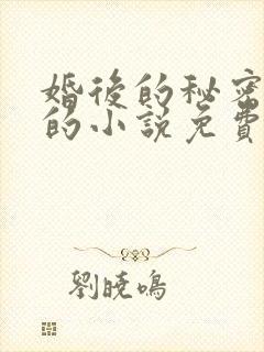 婚后的秘密小勇的小说免费阅读全文