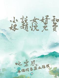 小说女婿和丈母娘赵悦免费阅读