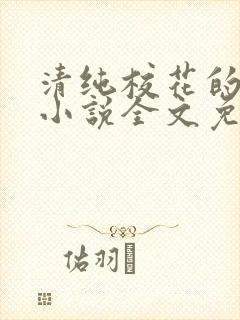 清纯校花的堕落小说全文免费阅读