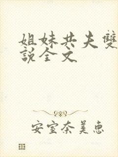 姐妹共夫双飞小说全文