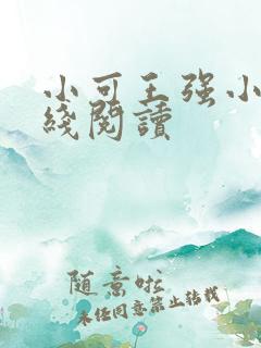小可王强小说在线阅读