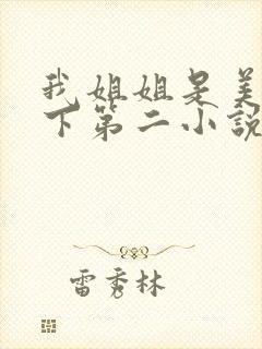 我姐姐是美女天下第二小说免费阅读