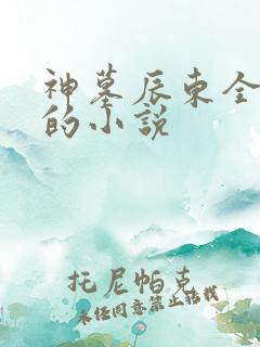 神墓辰东全免费的小说