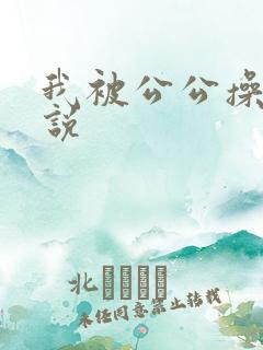 我被公公操了小说