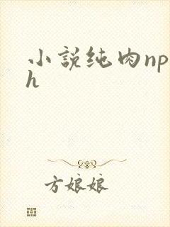 小说纯肉np高h