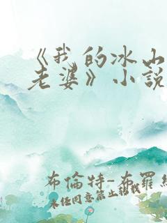 《我的冰山总裁老婆》小说
