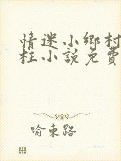 情迷小乡村王大柱小说免费阅