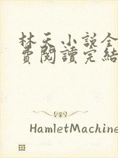林天小说全文免费阅读完结篇