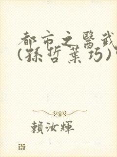 都市之医武风流(孙哲叶巧)完整版