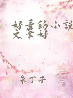 好看的小说言情文笔好