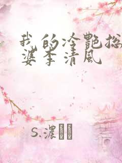 我的冷艳总裁老婆李清风