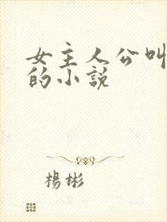 女主人公叫林昭的小说
