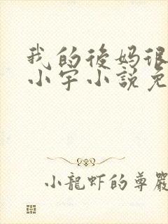 我的后妈很漂亮小宇小说免费阅读