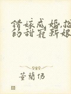 错嫁成婚,总裁的甜宠新娘