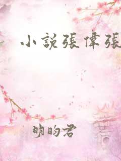 小说张伟张妍