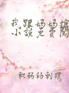 我跟妈妈抢叔叔小说免费阅读全文