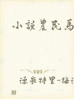 小说农民马小乐