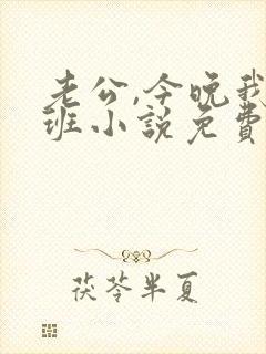 老公,今晚我加班小说免费阅读