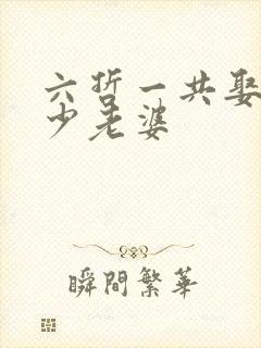 六哲一共娶了多少老婆