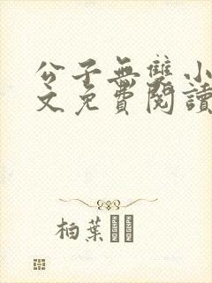 公子无双小说全文免费阅读