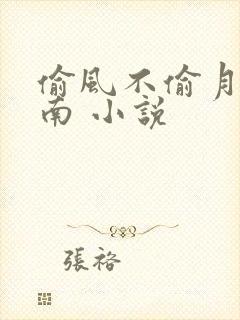 偷风不偷月 北南 小说