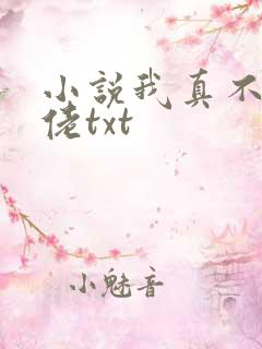 小说我真不是大佬txt