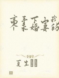 高手下山我有九个未婚妻的小说