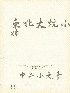 东北大炕小说txt