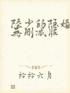 陆少的隐婚罪妻无删减版
