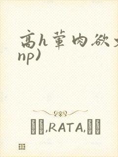 高h荤肉欲文(np)