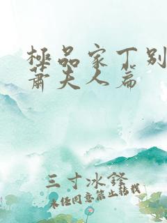 极品家丁别传—萧夫人篇