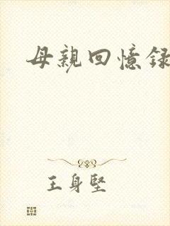 母亲回忆录小说