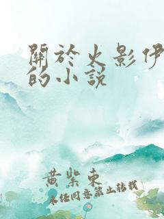 关于火影伊鲁卡的小说