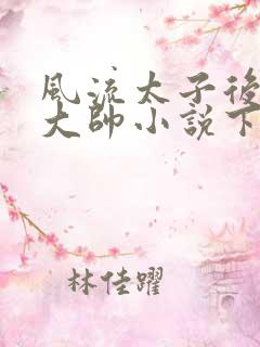 风流太子后宫萧大帅小说下载