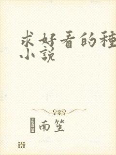 求好看的种田文小说